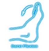 Dorsi Flexion